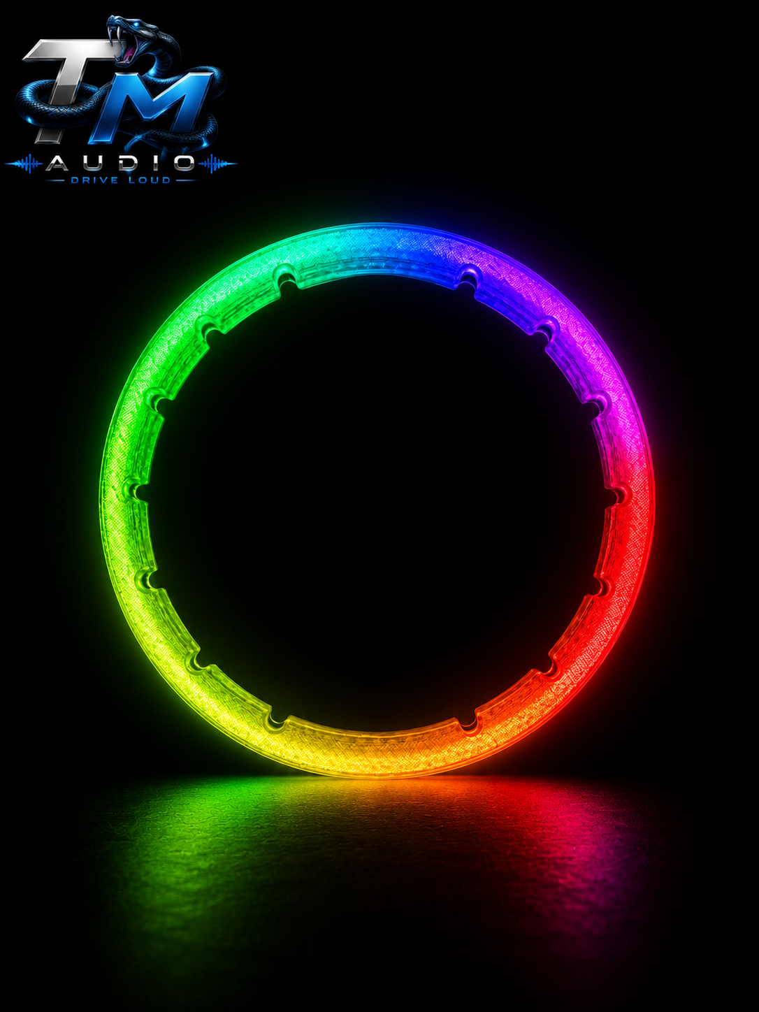 SMART RGB SPEAKER RINGS 6.5 V2